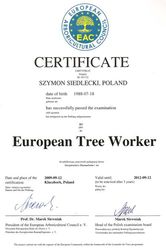 Treeworker Poznań