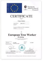 Treeworker Poznań